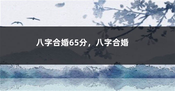 八字合婚65分，八字合婚