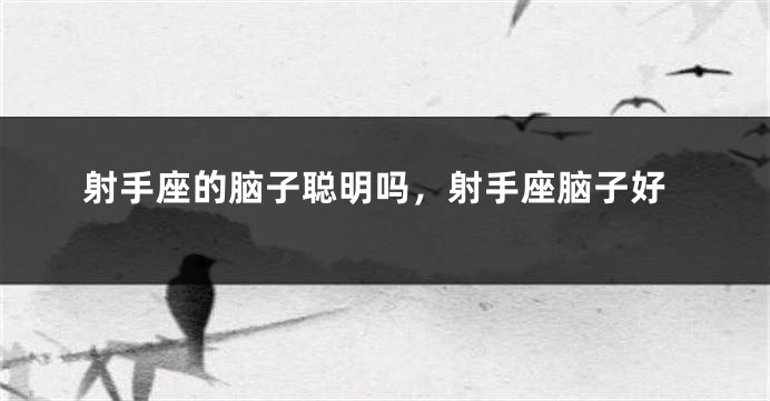 射手座的脑子聪明吗，射手座脑子好