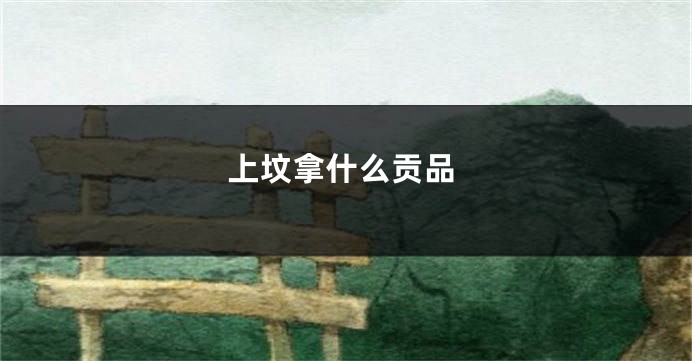 上坟拿什么贡品