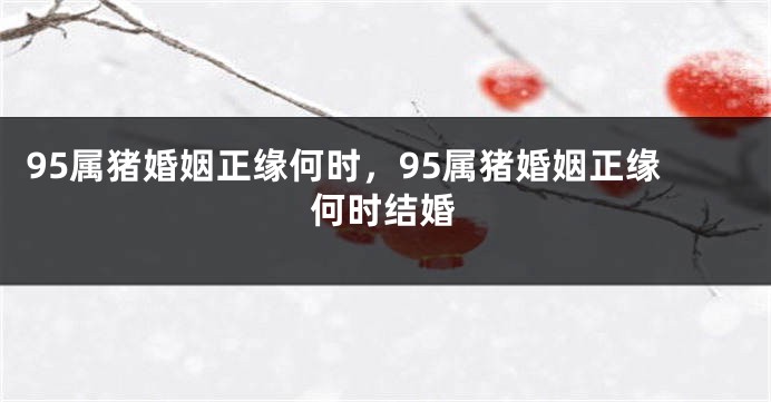 95属猪婚姻正缘何时，95属猪婚姻正缘何时结婚