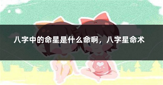 八字中的命星是什么命啊，八字星命术