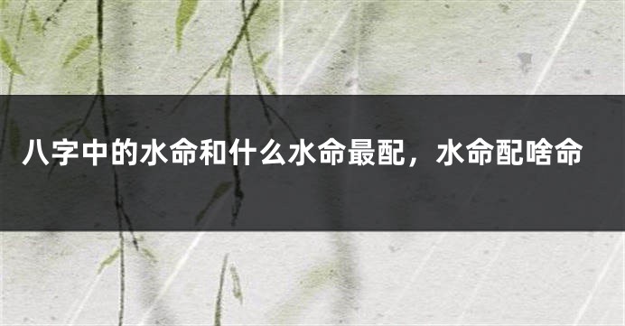 八字中的水命和什么水命最配,水命配啥命