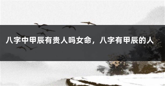 八字中甲辰有贵人吗女命，八字有甲辰的人