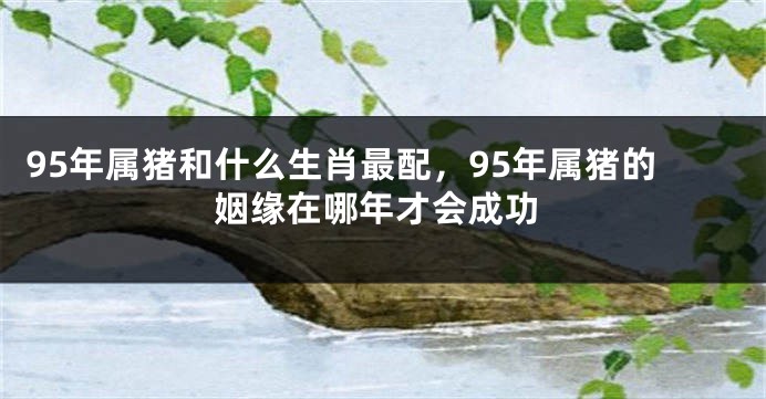 95年属猪和什么生肖最配，95年属猪的姻缘在哪年才会成功