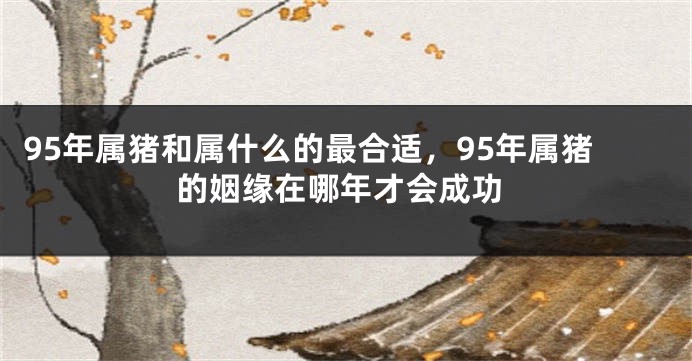 95年属猪和属什么的最合适，95年属猪的姻缘在哪年才会成功