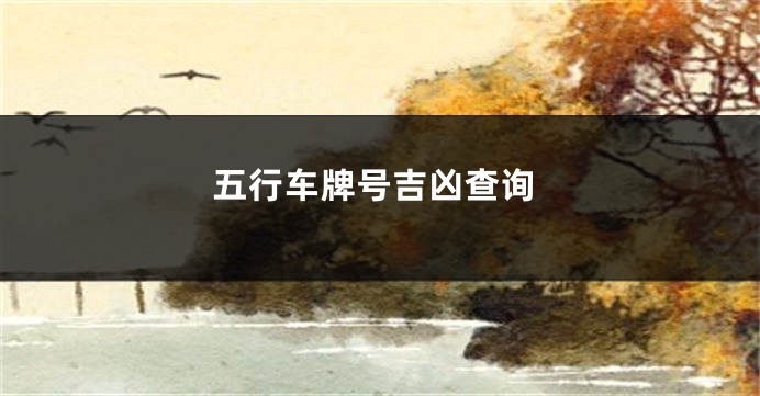 五行车牌号吉凶查询