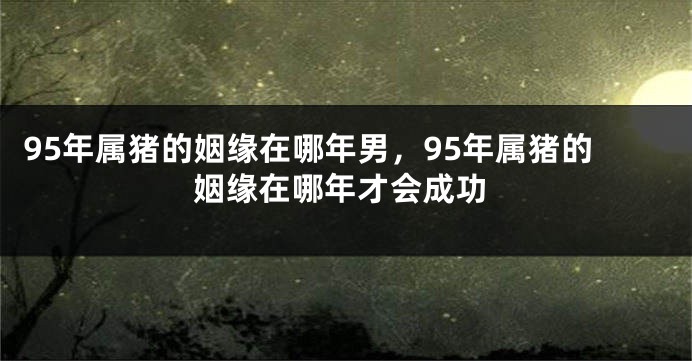 95年属猪的姻缘在哪年男，95年属猪的姻缘在哪年才会成功