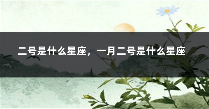 二号是什么星座，一月二号是什么星座
