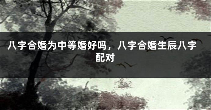 八字合婚为中等婚好吗，八字合婚生辰八字配对
