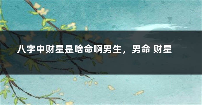 八字中财星是啥命啊男生，男命 财星