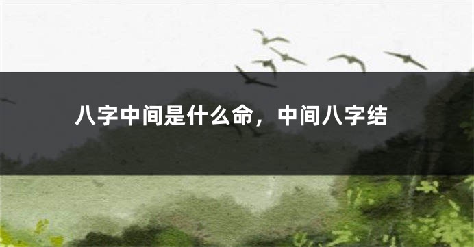 八字中间是什么命，中间八字结