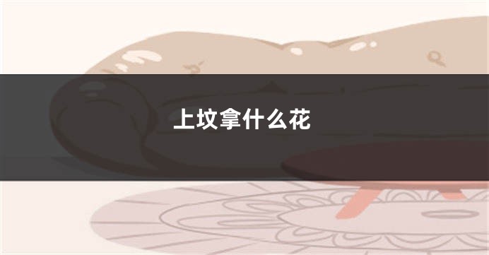 上坟拿什么花