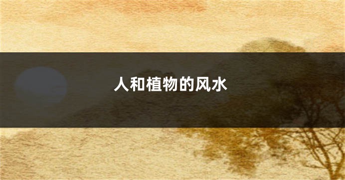 人和植物的风水