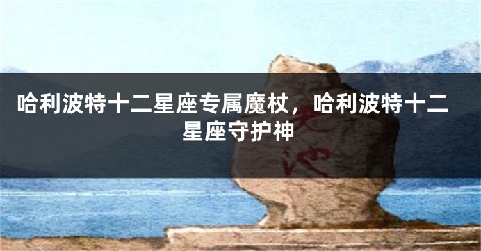 哈利波特十二星座专属魔杖，哈利波特十二星座守护神