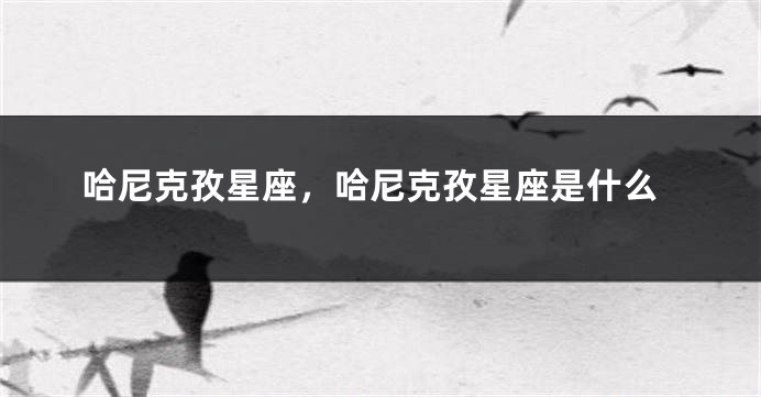 哈尼克孜星座，哈尼克孜星座是什么
