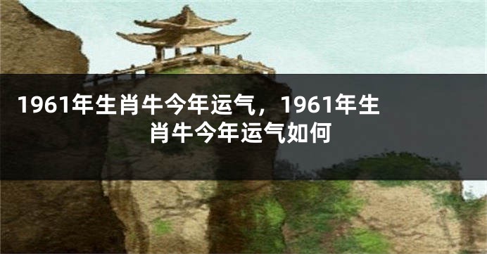 1961年生肖牛今年运气，1961年生肖牛今年运气如何