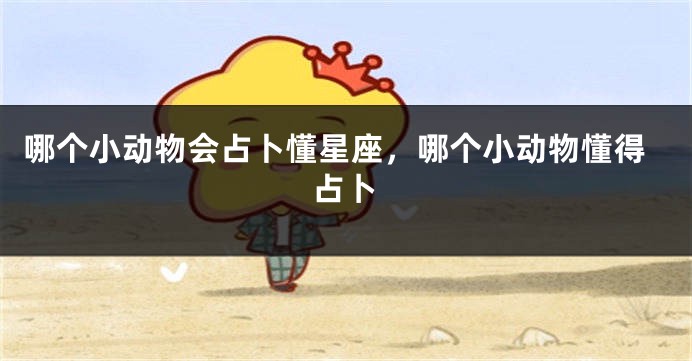 哪个小动物会占卜懂星座，哪个小动物懂得占卜