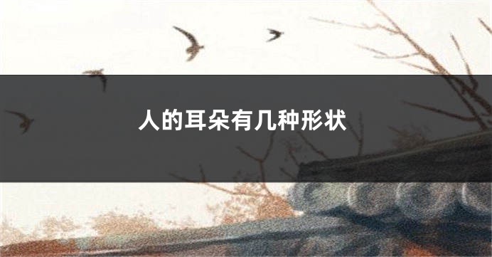 人的耳朵有几种形状