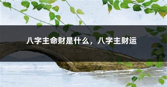 八字主命财是什么，八字主财运