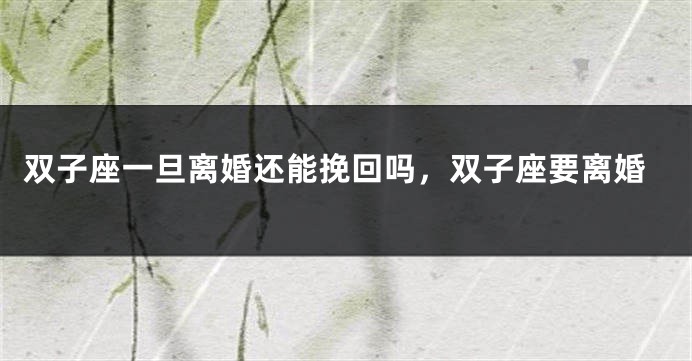 双子座一旦离婚还能挽回吗，双子座要离婚