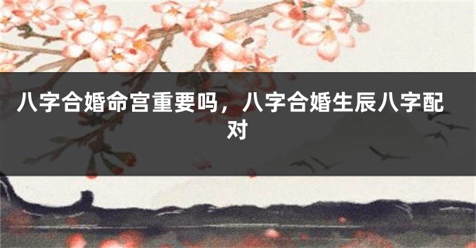 八字合婚命宫重要吗，八字合婚生辰八字配对