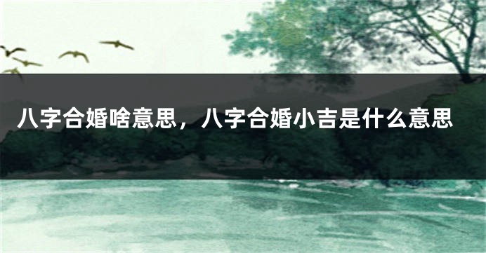 八字合婚啥意思，八字合婚小吉是什么意思