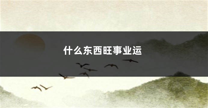 什么东西旺事业运
