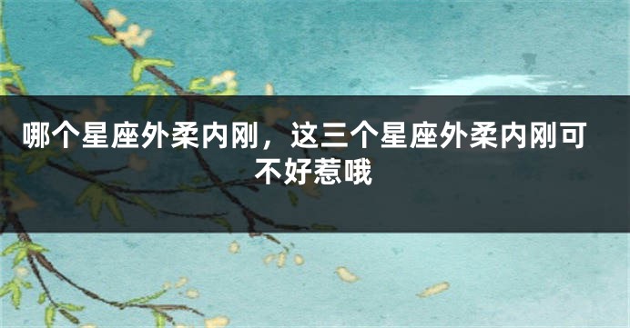 哪个星座外柔内刚，这三个星座外柔内刚可不好惹哦