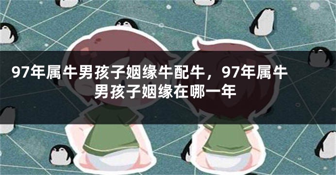 97年属牛男孩子姻缘牛配牛，97年属牛男孩子姻缘在哪一年