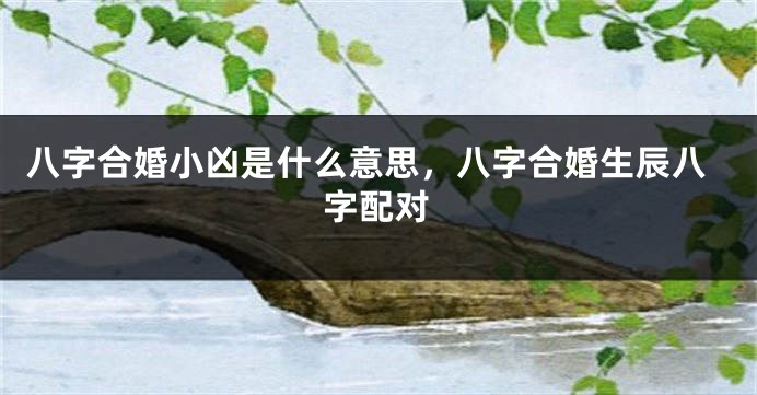 八字合婚小凶是什么意思，八字合婚生辰八字配对