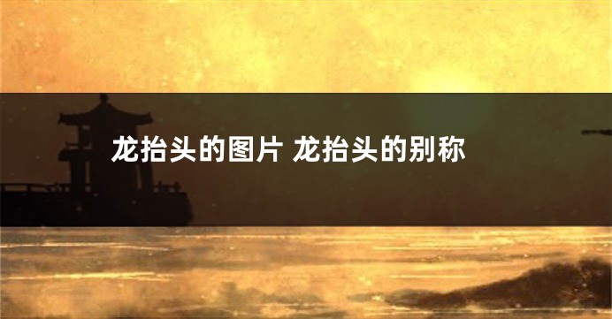 龙抬头的图片 龙抬头的别称
