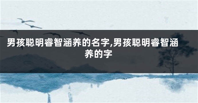 男孩聪明睿智涵养的名字,男孩聪明睿智涵养的字
