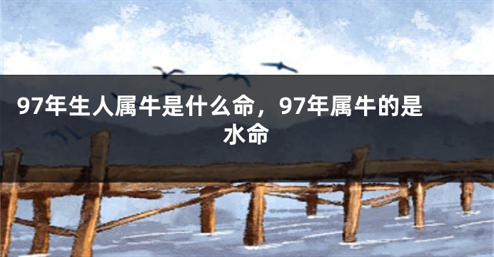 97年生人属牛是什么命，97年属牛的是水命