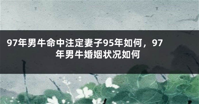 97年男牛命中注定妻子95年如何,97年男牛婚姻状况如何