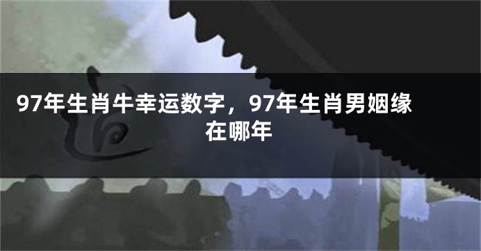 97年生肖牛幸运数字，97年生肖男姻缘在哪年