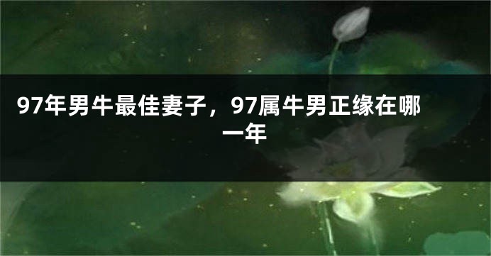 97年男牛最佳妻子，97属牛男正缘在哪一年