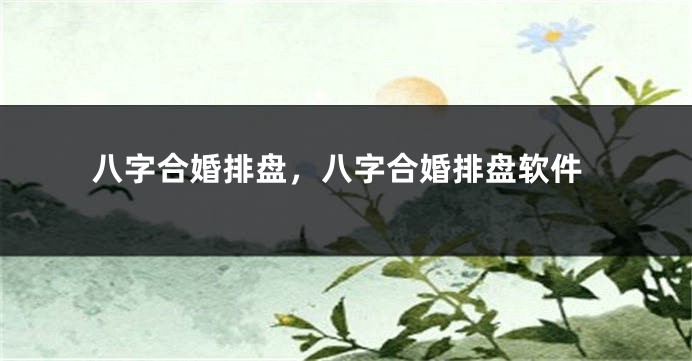 八字合婚排盘，八字合婚排盘软件