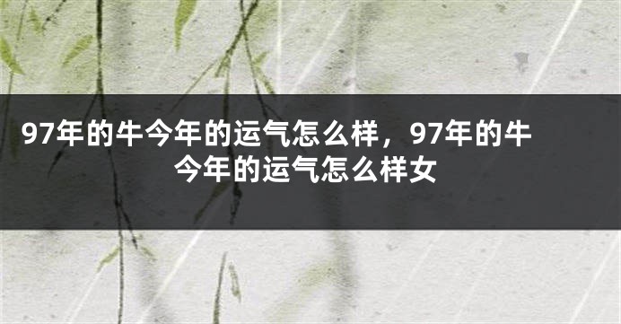 97年的牛今年的运气怎么样，97年的牛今年的运气怎么样女