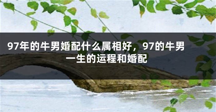 97年的牛男婚配什么属相好，97的牛男一生的运程和婚配