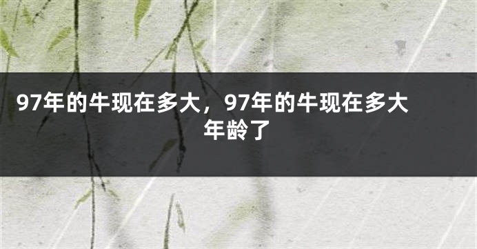 97年的牛现在多大，97年的牛现在多大年龄了
