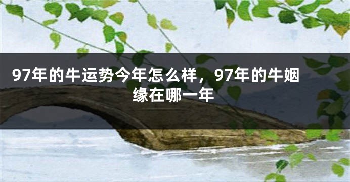 97年的牛运势今年怎么样，97年的牛姻缘在哪一年