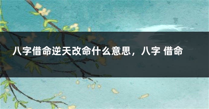 八字借命逆天改命什么意思，八字 借命