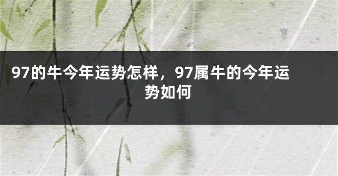 97的牛今年运势怎样，97属牛的今年运势如何