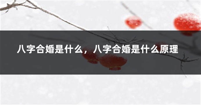 八字合婚是什么，八字合婚是什么原理