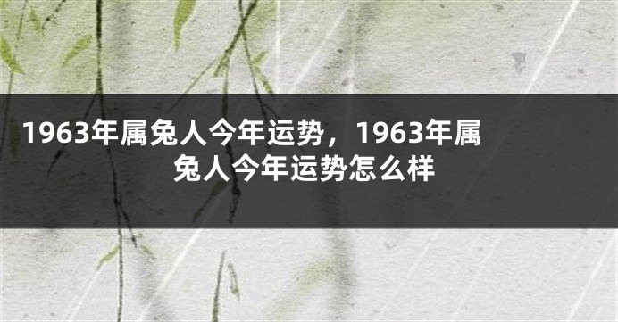 1963年属兔人今年运势，1963年属兔人今年运势怎么样