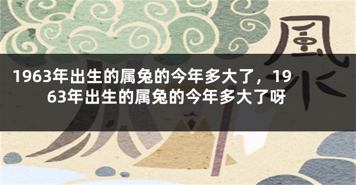 1963年出生的属兔的今年多大了，1963年出生的属兔的今年多大了呀