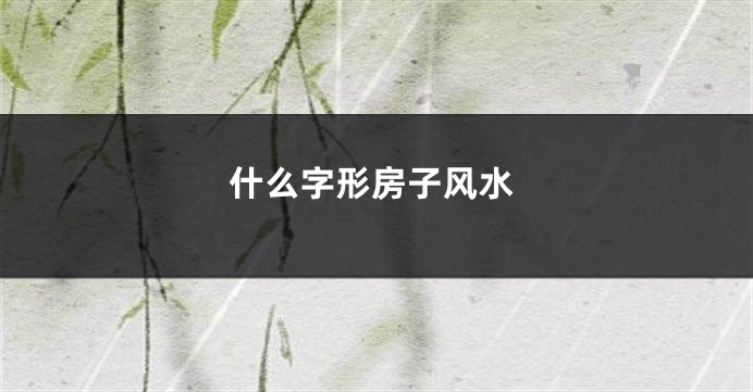 什么字形房子风水