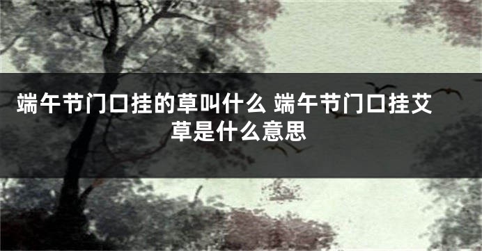 端午节门口挂的草叫什么 端午节门口挂艾草是什么意思