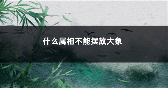 什么属相不能摆放大象