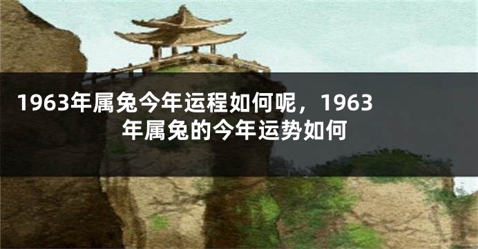 1963年属兔今年运程如何呢，1963年属兔的今年运势如何